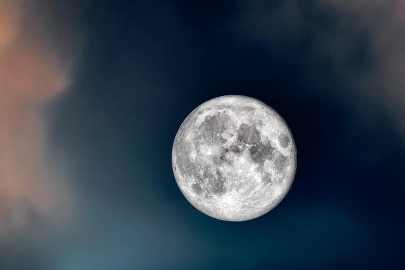 Moonlight Gardening